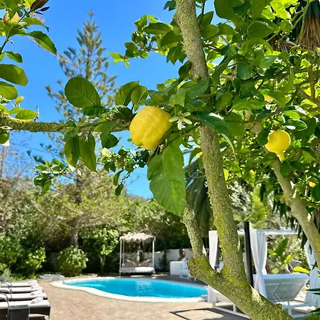 Stylish Ibiza Near Beaches Private Pool & Lush Garden *